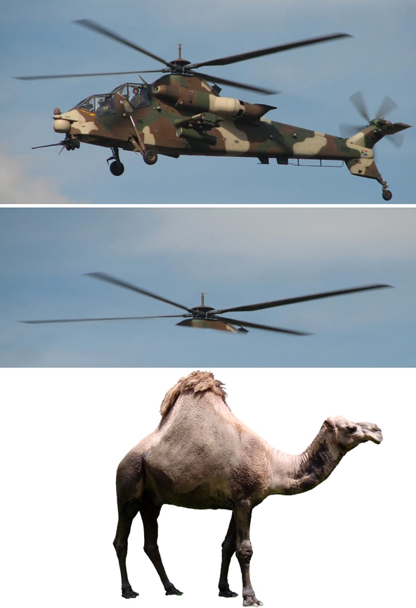 Creation of Helicamel: Step 3